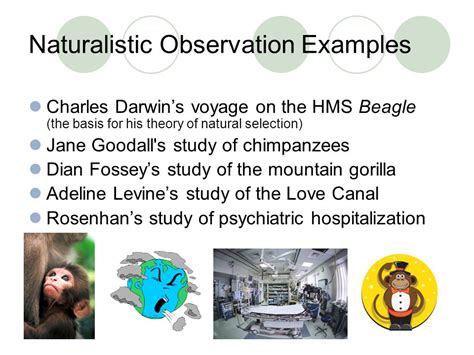 how are naturalistic observations similar to case studies
